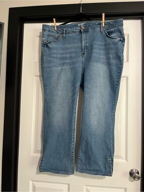 Terra & Sky Light Blue Boot Cut Jeans